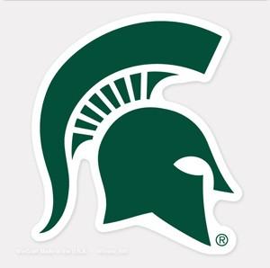 Michigan State Spartans Decal 