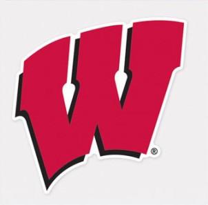 Wisconsin Badgers Decal 